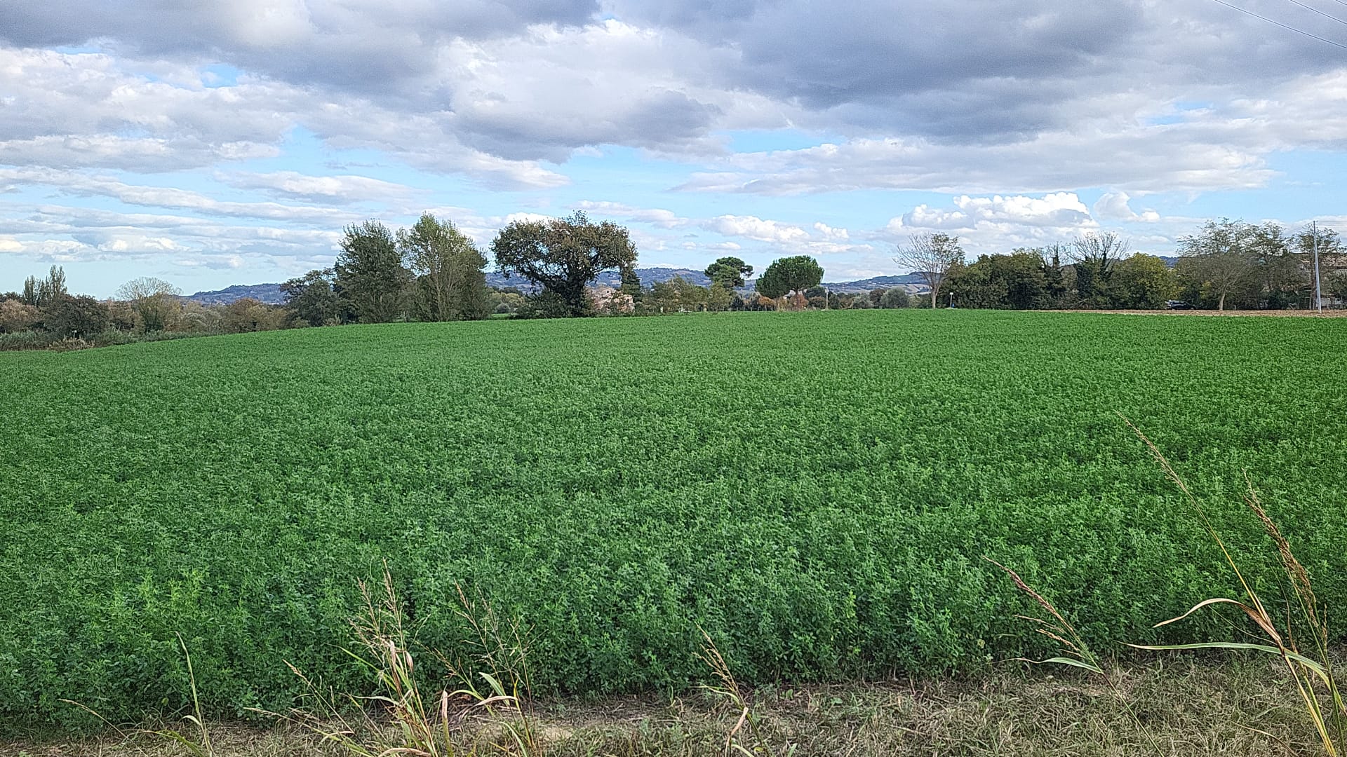 Piste campionato di lavoro 2025 allo stato attuale (29/10/2025)